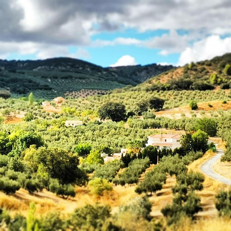 Cortijo Pennymaria Poolside Apartment Near Montefrio With Stunning Views ภายนอก รูปภาพ