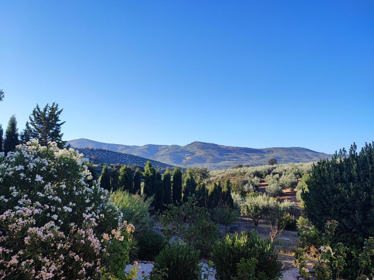Cortijo Pennymaria Poolside Apartment Near Montefrio With Stunning Views ภายนอก รูปภาพ