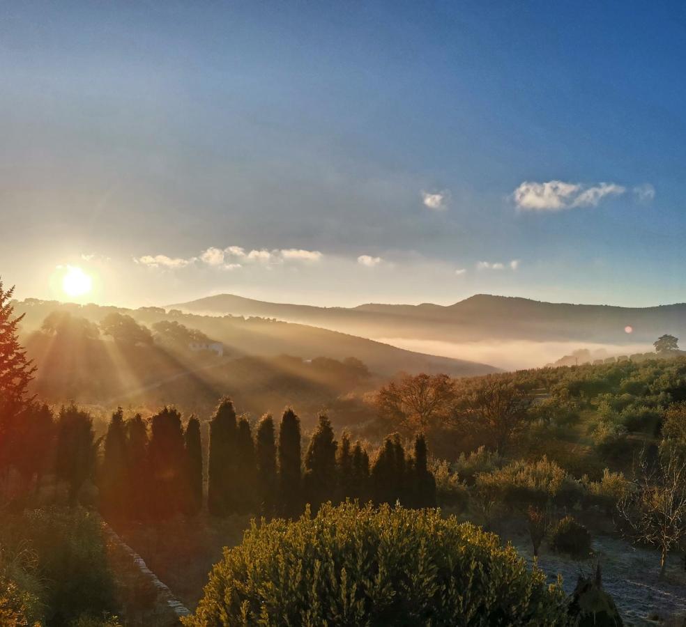 Cortijo Pennymaria Poolside Apartment Near Montefrio With Stunning Views ภายนอก รูปภาพ